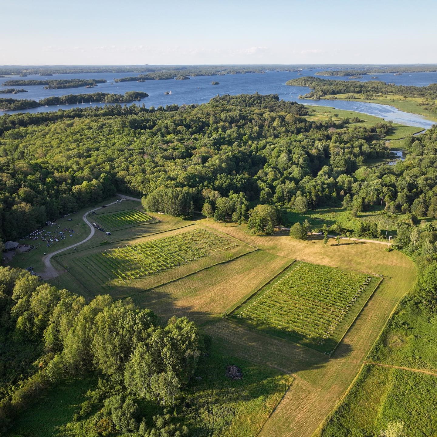 Grindstone Island Winery Visit 1000 Islands