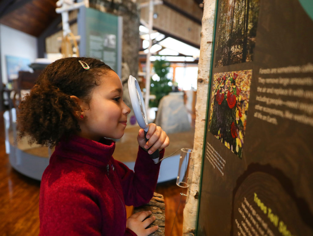 Inside the nature center