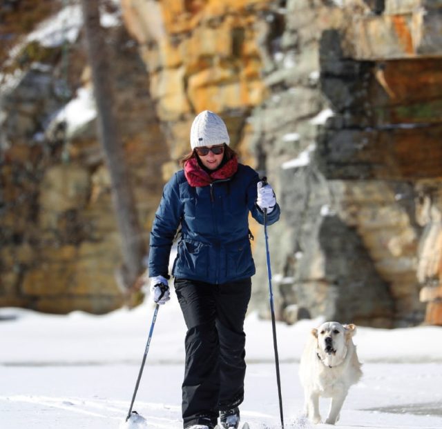 skiing with dog