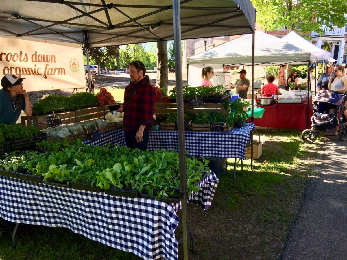 Insider’s Guide to the 1000 Islands Visit 1000 Islands